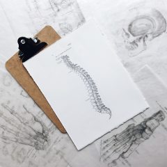 clipboard with spine drawing